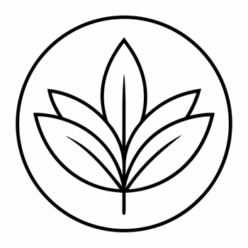 1 (4141).png